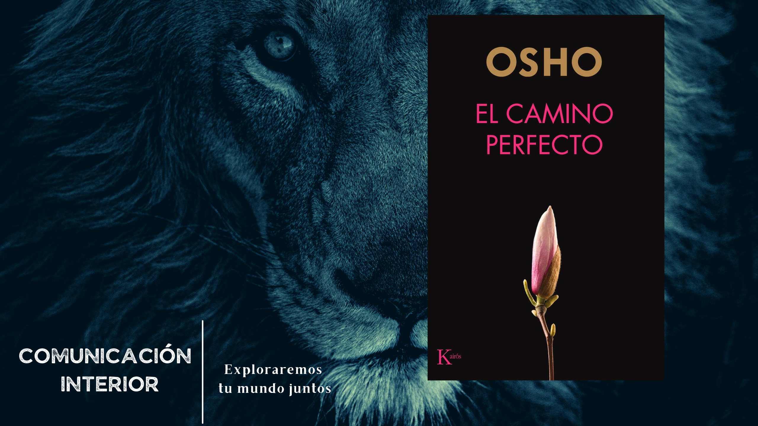 Descubre el camino perfecto hacia la plenitud con Osho: una guía transformadora